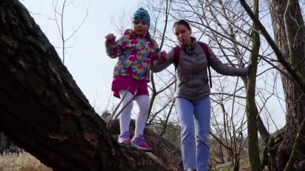 Mãe Bebê Floresta — Vídeo de Stock