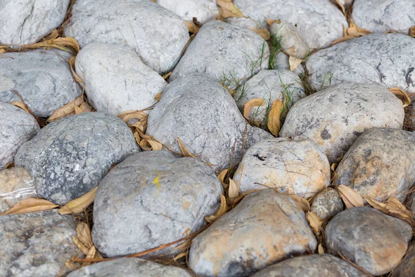 Graue Kieselsteine Textur Und Hintergrund Dekorativer Stein — Stockfoto