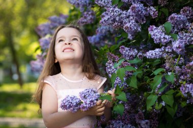 Küçük bir tebessüm kızı günbatımı bahçesindeki leylak çalılıklarında, bahar çiçekleri parkında. Romantik çocukluk kavramı.