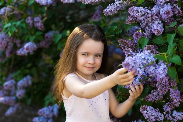 Little Smile Girl Lilac Bushes Sunset Garden Spring Blooming Park — Stock Photo, Image