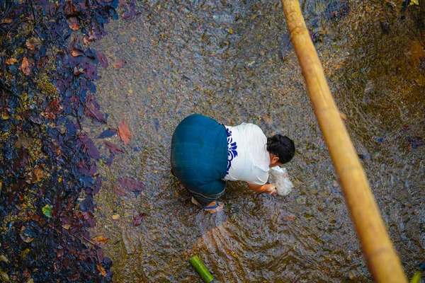 Mae Hong Son Thajsko Března 2019 Žena Pracuje Rybaří Sbírá — Stock fotografie