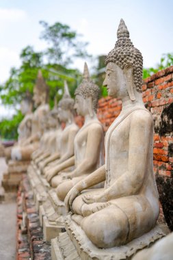 Ayutthaya, Tayland - 19 Mart 2019: Bangkok yakınlarındaki Ayutthaya tarihi parkındaki Wat Yai Chai Mongkhon Tapınağı 'nda Buda Heykelleri