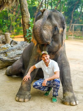 Chiang Mai, Tayland - 22 Mart 2019: Tayland 'da Asya filli Avrupalı turist. Filler için eğitim kampı ve Chiang Mai, Tayland 'da gösteri..