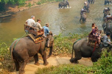 Chiang Mai, Tayland - 22 Mart 2019: Vahşi ormanda, nehirde ve MaeTaeng Fil Parkı 'nda fil binen turistler. İnsanlar güzel yeşil Asya manzaralarında filin sırtında oturuyorlar..