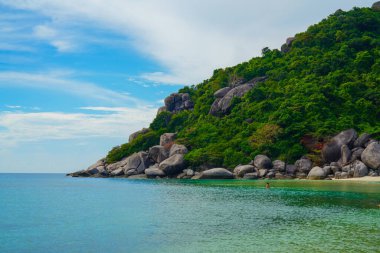Tropikal göl, Tayland plajı.