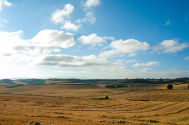 Kuzey İspanya 'da, Avrupa' da resim gibi bir kırsal. Ünlü Camino de Santiago yürüyüş yolu