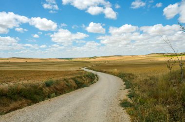 Kuzey İspanya 'da, Avrupa' da resim gibi bir kırsal. Ünlü Camino de Santiago yürüyüş yolu
