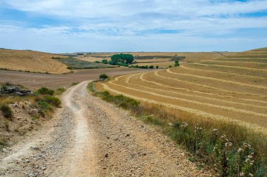 Kuzey İspanya 'da, Avrupa' da resim gibi bir kırsal. Ünlü Camino de Santiago yürüyüş yolu