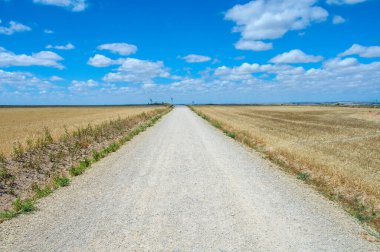 Kuzey İspanya 'da, Avrupa' da resim gibi bir kırsal. Ünlü Camino de Santiago yürüyüş yolu