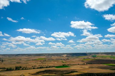 Yazın ekilmiş tarla, İspanya