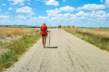 Kuzey İspanya 'da, Avrupa' da resim gibi bir kırsal. Ünlü Camino de Santiago yürüyüş yolu
