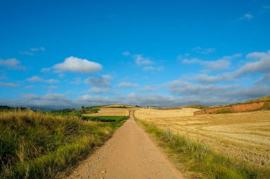 Picturesque countryside in Northern Spain, Europe. Famous Camino de Santiago walking road clipart