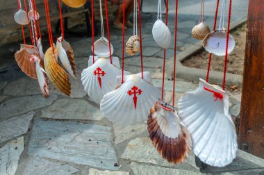 Scallop Shells, symbol of Camino de Santiago Walking path in Europe. Famous Camino de Santiago walking road and street. Pilgrims ways. The Way of Saint James pilgrimage clipart