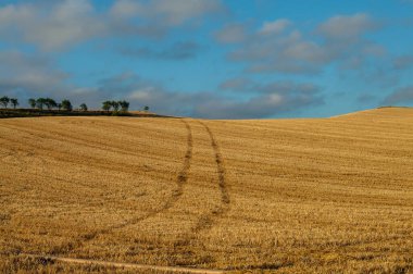 Kuzey İspanya 'da, Avrupa' da resim gibi bir kırsal. Ünlü Camino de Santiago 