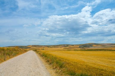 Kuzey İspanya 'da, Avrupa' da resim gibi bir kırsal. Ünlü Camino de Santiago yürüyüş yolu