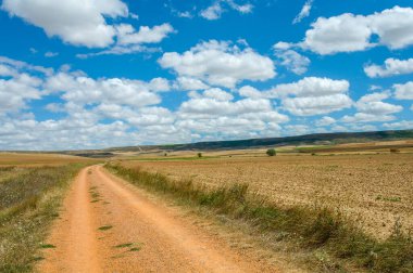 Kuzey İspanya 'da, Avrupa' da resim gibi bir kırsal. Ünlü Camino de Santiago yürüyüş yolu