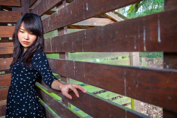 Mooi Aziatisch Meisjesportret Houten Hut Expressief Portret Van Eenzame Vrouw — Stockfoto