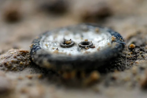 Yere Atılmış Eski Kirli Bilinmeyen Bir Nesne Çevre Kirliliği Makro — Stok fotoğraf