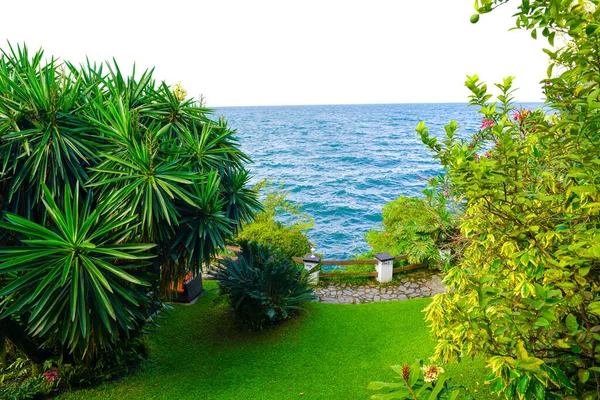 Tropikalny Ogród Palmami Błękitnym Morzem — Zdjęcie stockowe