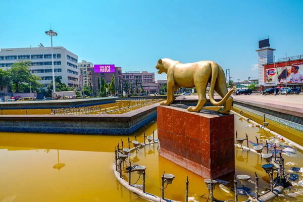 Kinshasa Congo Január 2020 Golden Monument Bemutató Állat Épületek Irodák — Stock Fotó