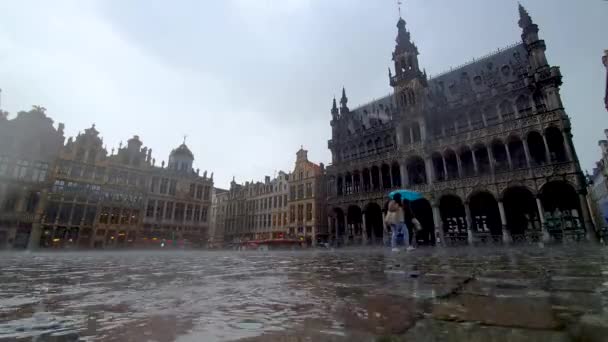 布鲁塞尔 比利时 2019年6月7日 下雨天布鲁塞尔大广场 它是1998年以来最重要的旅游胜地和联合国教科文组织的世界遗产 — 图库视频影像