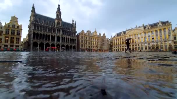 Brussel België Juni 2019 Brussel Grote Markt Tijdens Een Regenachtige — Stockvideo