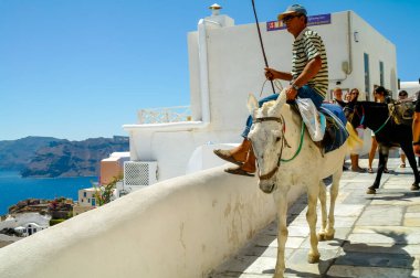 SANTORINI, GREECE - 22 Ocak 2020: Ege Denizi 'nde evler ve eşeklerle Santorini kalderasının panoramik manzarası. Santorini, Yunanistan 'ın Cyclades şehrinde bir adadır.