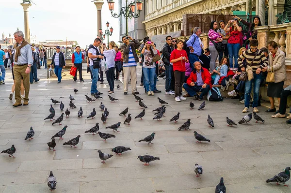 Venise Italie Janvier 2020 Monuments Rues Touristes Architecture Tours Venise — Photo