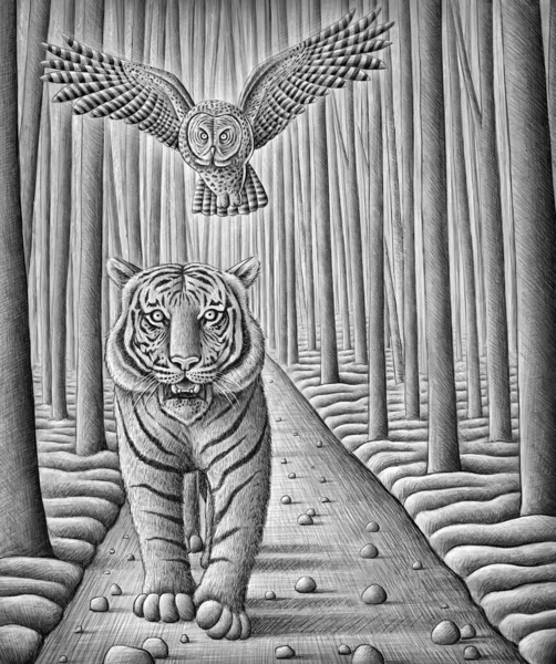 Realistic drawing of tiger walking on path with trees with flying owl