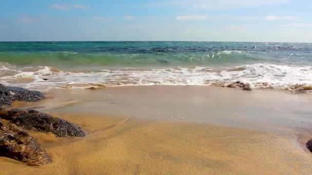 Песчаный Пляж Морские Волны Видео — стоковое видео
