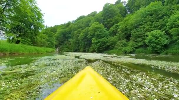 Small Wooden Boat Navigating Wild Tropical River Green Jungle Woman — Stock Video