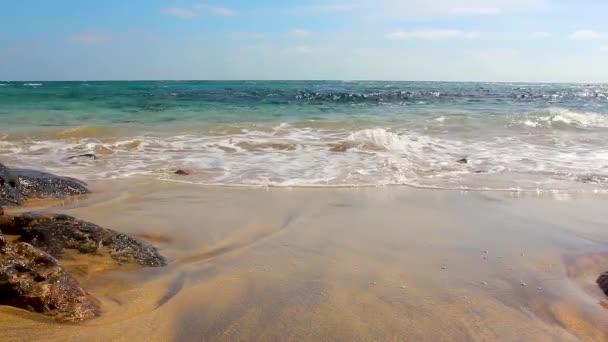 Sandstrand Och Havsvågor Video — Stockvideo