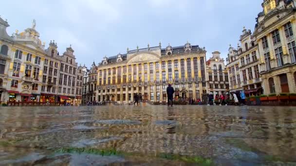 Brussels Belgium June 2019 Brussels Grand Place Rainy Day 它是1998年以来最重要的旅游胜地和联合国教科文组织的世界遗产 — 图库视频影像