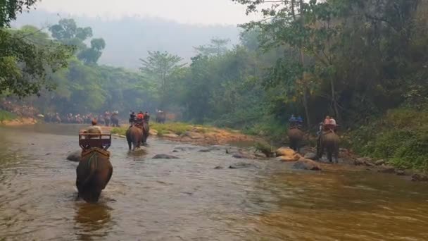 Chiang Mai Thailandia Marzo 2019 Turisti Che Cavalcano Elefanti Nella — Video Stock