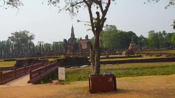 Sukhothai Thailand Juli 2019 Jättestora Buddha Statyer Och Ruiner Vid — Stockvideo