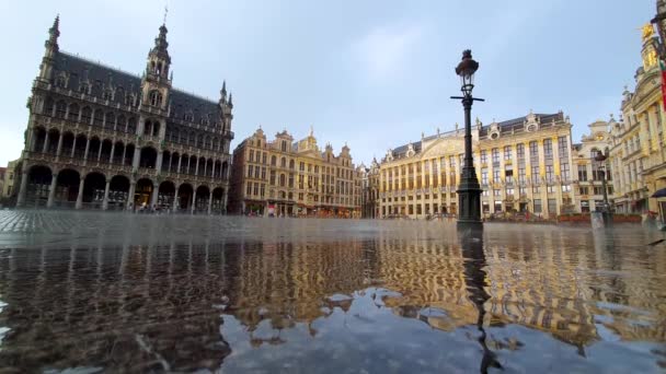 Brussels Belgium Junho 2019 Bruxelas Grand Place Durante Dia Chuvoso — Vídeo de Stock