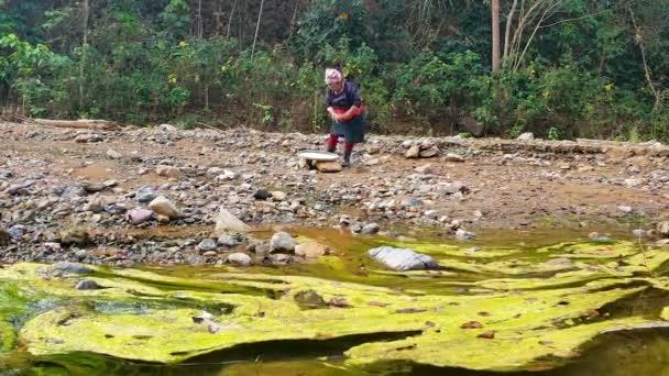Mulher Tribal Velha Que Trabalha Perto Costa Rio Pesca Caça — Vídeo de Stock