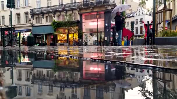 Brussels Belgium Janum 2020 Тротуар Вуличні Міські Краєвиди Після Дощу — стокове відео