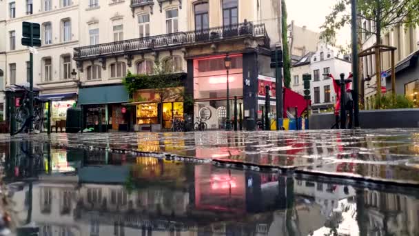 Brussels Belgium January 2020 Road Ement Street Urban Landscape Rain — 图库视频影像