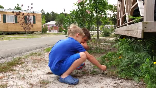 Linxe France Septembre 2019 Enfants Jouant Dans Camping Pendant Les — Video