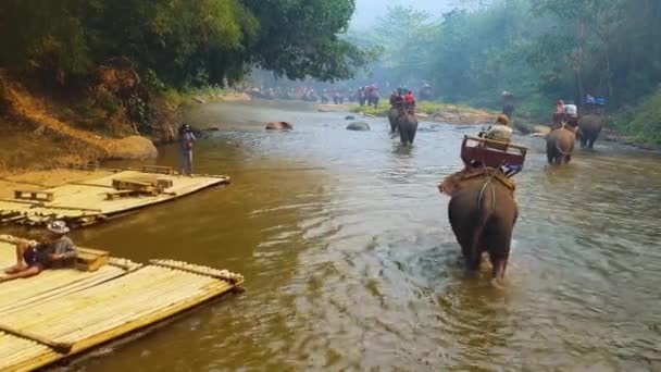 Chiang Mai Tailandia Marzo 2019 Turistas Montando Elefantes Bosque Salvaje — Vídeos de Stock