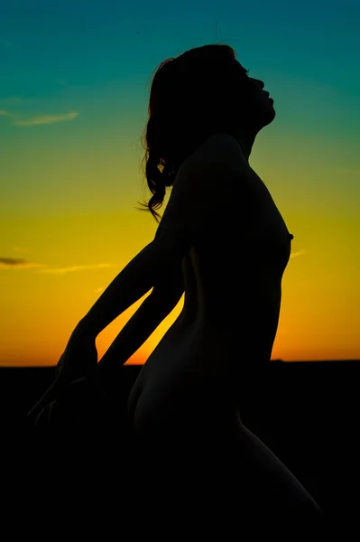 Silhouette Der Schönen Frau Sonnenuntergang Feld — Stockfoto