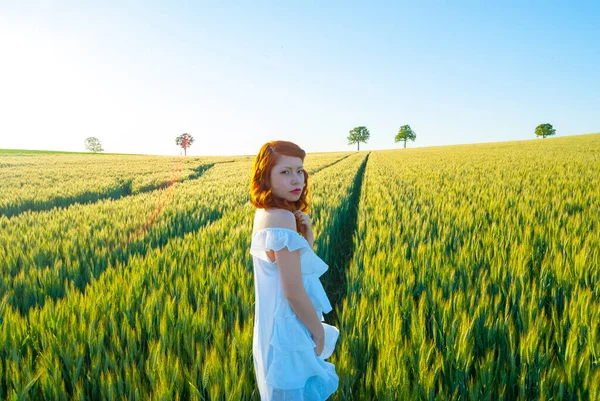 Mujer Joven Campo Girasoles —  Fotos de Stock