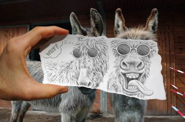İki eşeğin önünde bir kağıt parçası tutan bir el, kağıtta biri komik bir yüz çeken, hayvanlar için iki farklı ifadenin karikatür çizimi var.