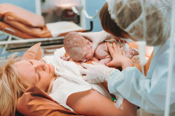 신생아가 병원의 분만실에서 갓 태어난 산모의 젖을 가까이 서 먹는 모습, 바로 출산 직후에. — 스톡 사진