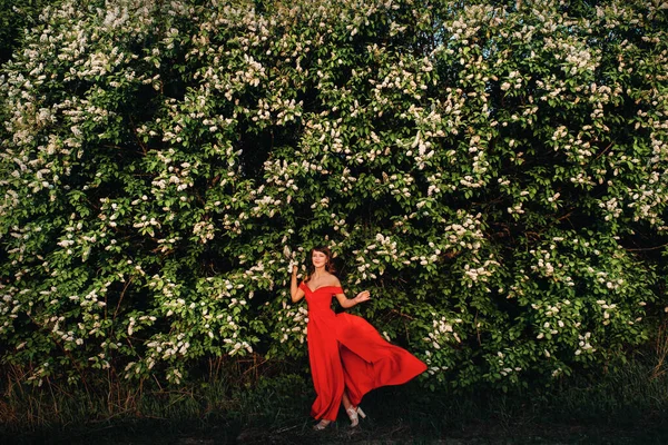 Una bella ragazza in primavera in un vestito rosso con le labbra rosse si trova accanto a un grande albero da fiore bianco. Al tramonto — Foto Stock