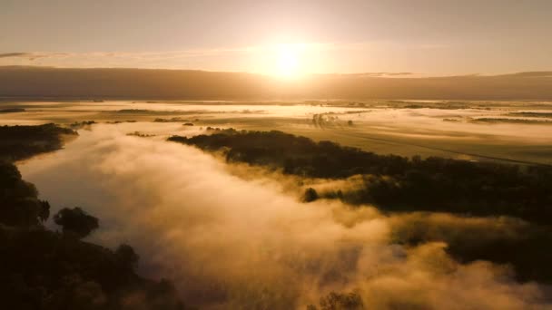 Amazing dawn with fog in the field, aerial view. Flying in the fog, aerial Photography is taken. Flying above the clouds towards the sun.Birds point of view — Stock Video