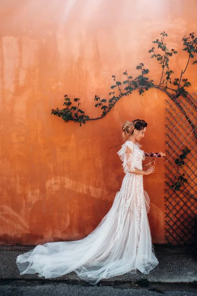 Una Hermosa Novia Con Características Agradables Vestido Novia Fotografía Provenza — Foto de Stock