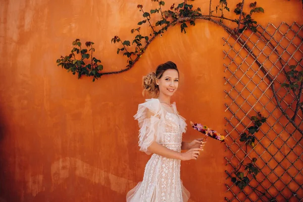 Una Bella Sposa Con Caratteristiche Piacevoli Abito Sposa Fotografata Provenza — Foto Stock