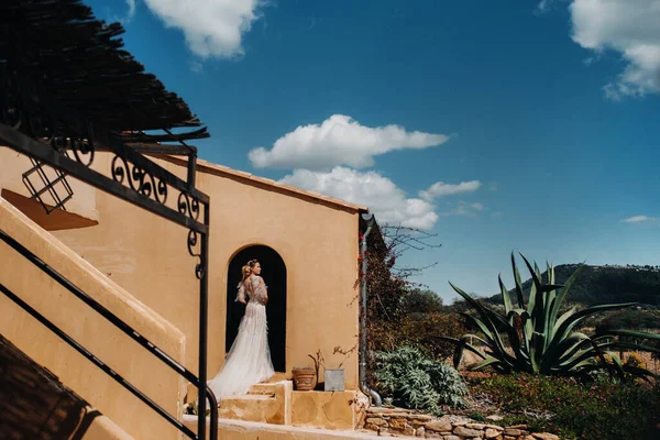 Uma Bela Noiva Com Características Agradáveis Vestido Noiva Fotografado Provença — Fotografia de Stock